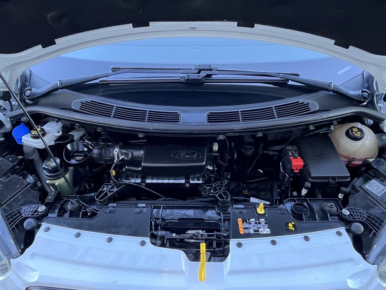 2019 Ford transit