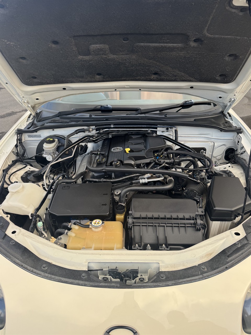 2007 Mazda ROADSTER