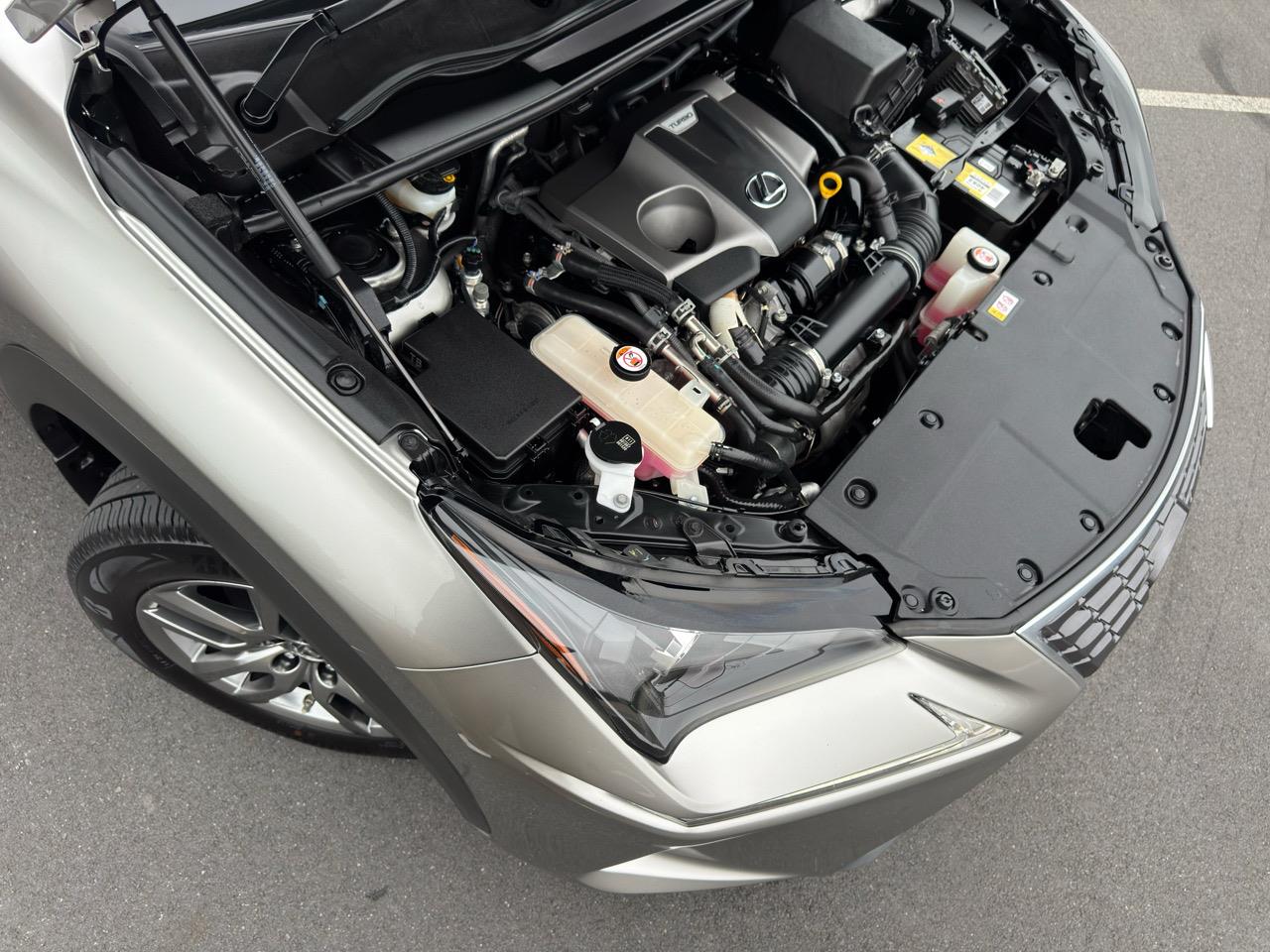 2019 Lexus Nx300