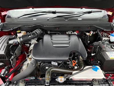 2023 GWM Cannon - Thumbnail