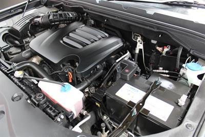 2021 GWM Cannon - Thumbnail