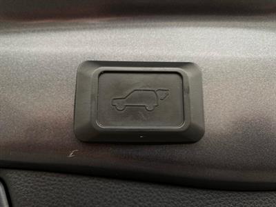 2019 Toyota RAV4 - Thumbnail