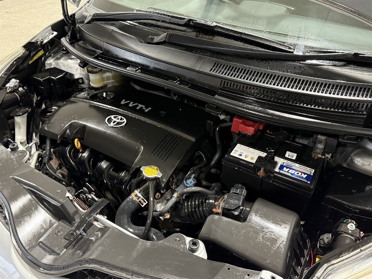2008 Toyota Ist