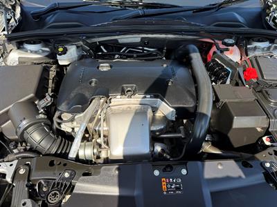 2019 Holden Commodore - Thumbnail