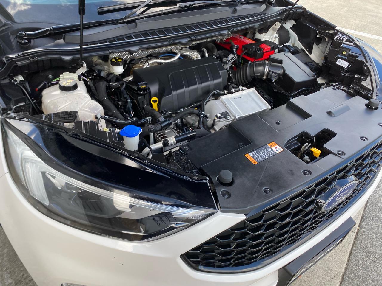 2019 Ford Endura