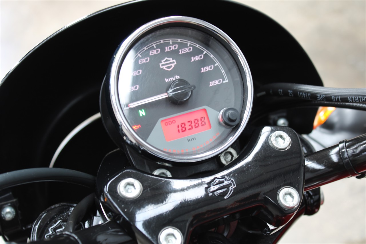 2015 Harley Davidson Street