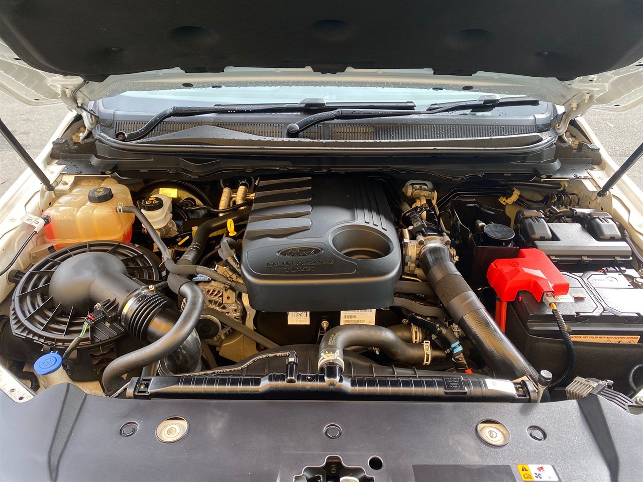 2020 Ford Ranger