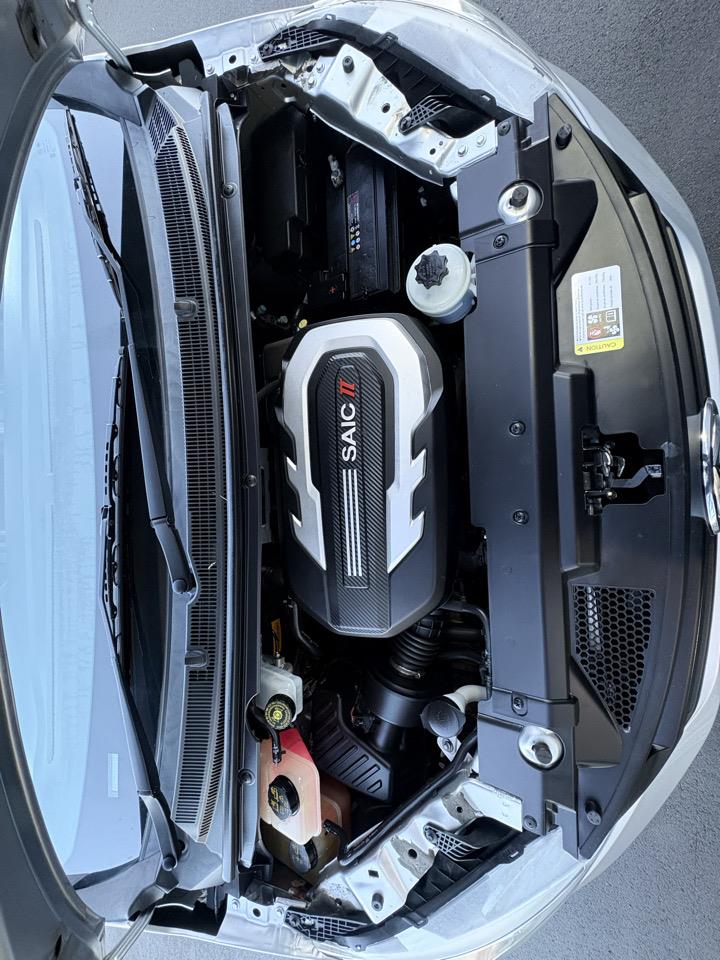 2021 LDV G10