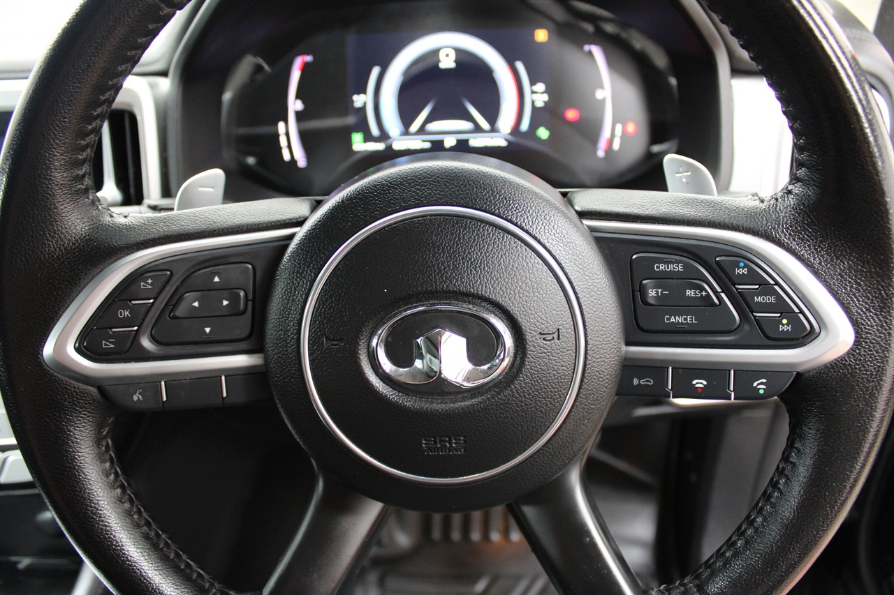 2022 Great Wall Gwm Cannon