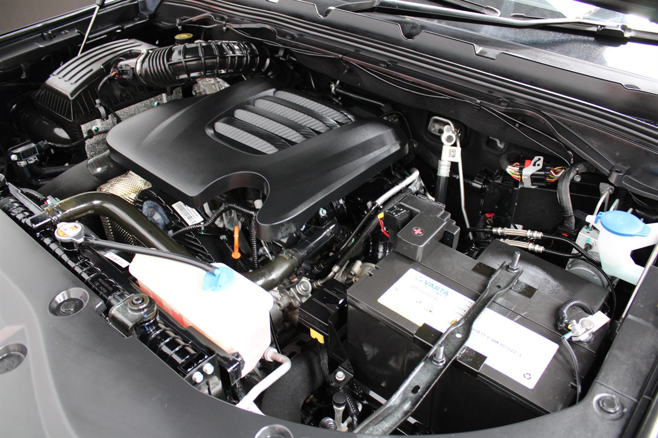 2022 Great Wall Gwm Cannon