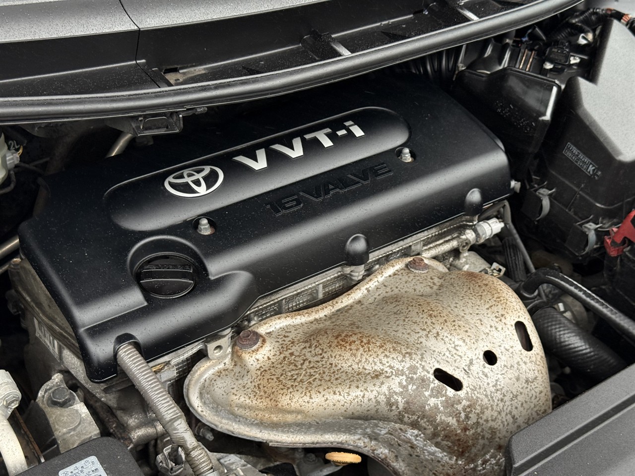 2009 Toyota BLADE