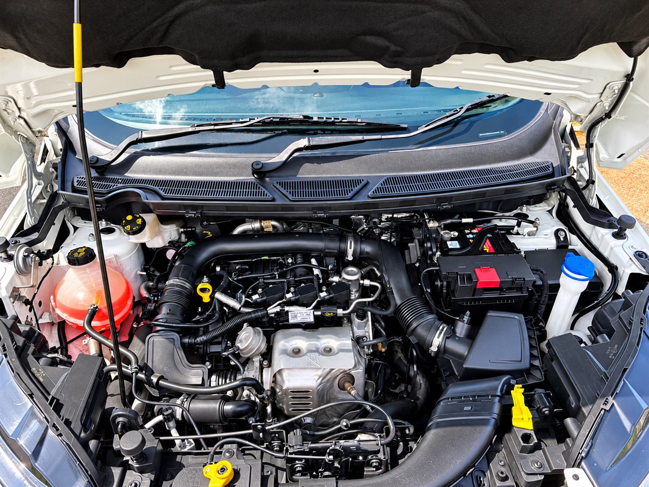 2019 Ford Ecosport