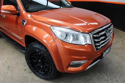 2018 GWM Steed - Thumbnail