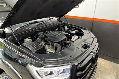 2021 GWM CANNON - Thumbnail