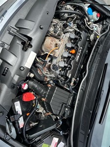 2010 Honda Civic - Thumbnail