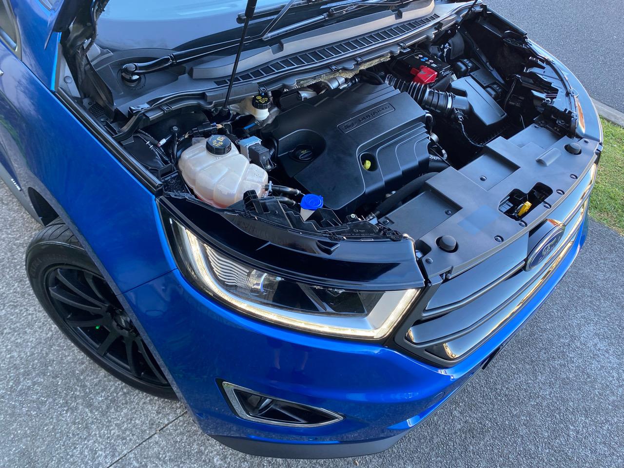 2018 Ford Endura
