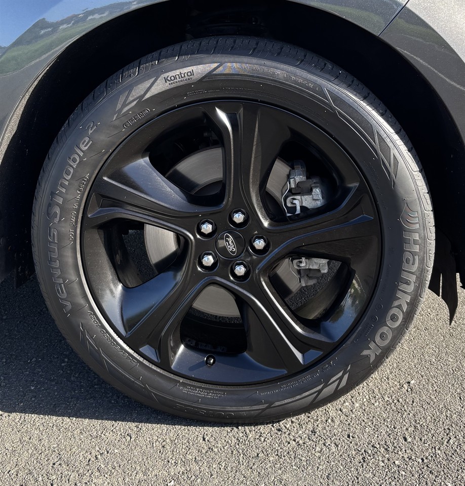 2019 Ford Endura
