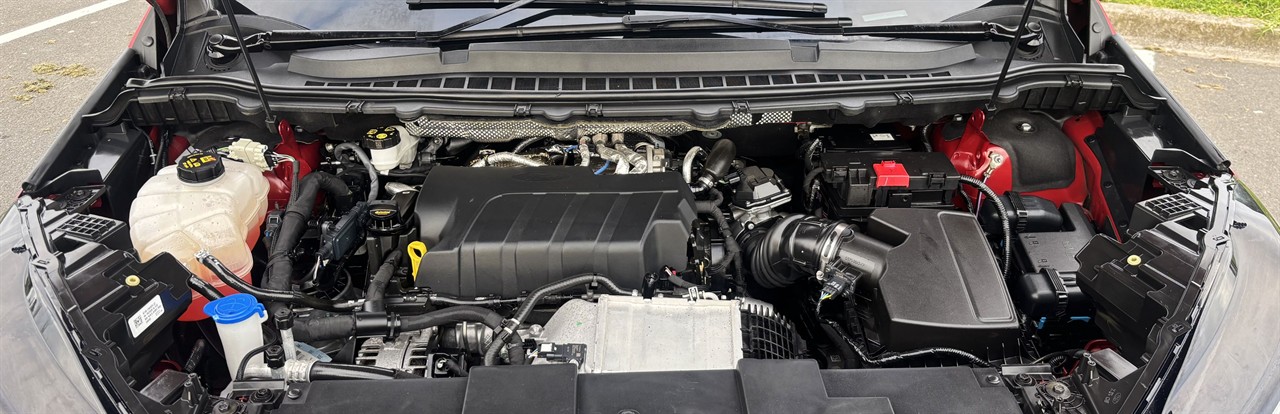 2019 Ford Endura